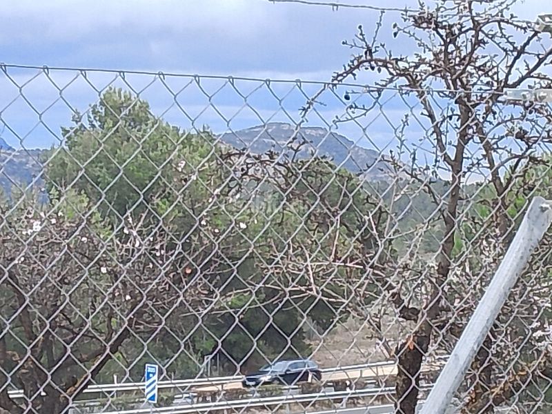 Foto a08cdc1b-1702-4441-b2e3-12e6ccb185da. Xalet amb xemeneia aparcament a Tibi