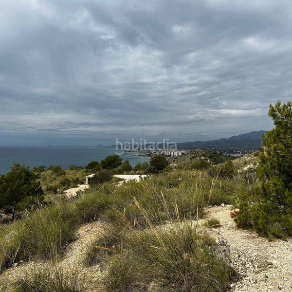 Foto a7553b0f-db40-448d-a2f1-dceeee82038d. Solar industrial a Platja de Torres Vila Joiosa (la)