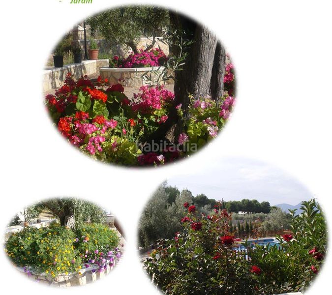 Foto 8ca8c07d-b1b2-4ac5-aeed-96d765d15bc9. Xalet amb xemeneia aparcament piscina a Onil