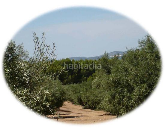 Foto ad745f30-8f3d-45ba-82e0-035e7a711958. Xalet amb xemeneia aparcament piscina a Onil