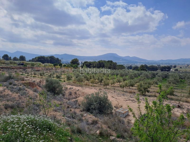 Foto 0a24b7f1-85cf-48c9-98d2-79dfdc9e03cc. Finca rústica a cv-802 3 a Onil