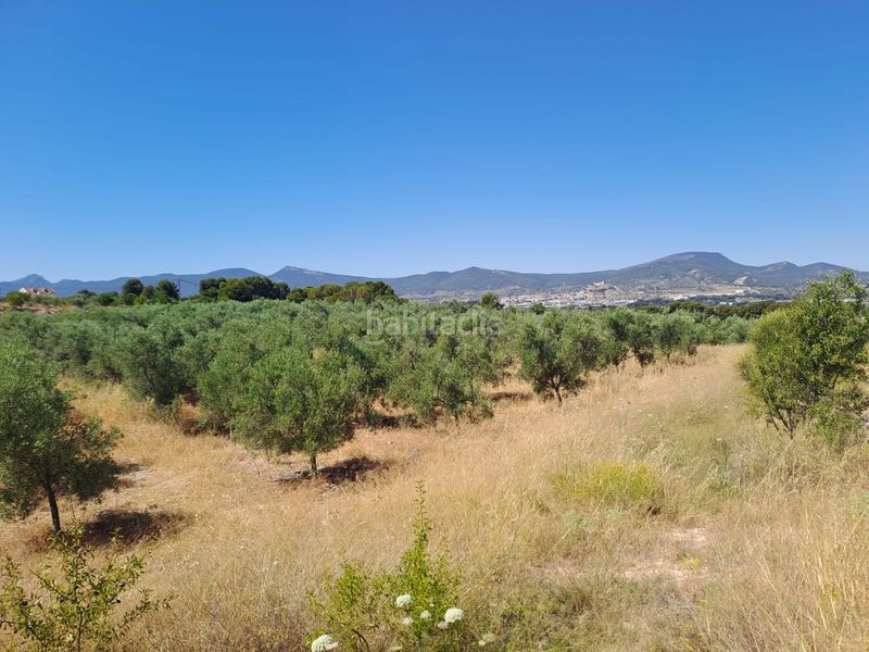 Foto 106314ed-dba2-42fc-8004-c4d1b9fe71e3. Finca rústica a cv-802 3 a Onil