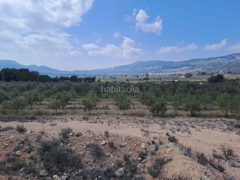 Foto 188a02a1-2798-4f0b-9e84-0929738de3fa. Finca rústica a cv-802 3 a Onil