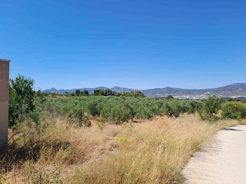 Foto 55279e31-68a8-4845-b989-7e07150ad9ea. Finca rústica a cv-802 3 a Onil