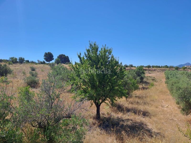 Foto 7437a5ae-9fe3-4837-9f43-90e15c01c116. Finca rústica a cv-802 3 a Onil
