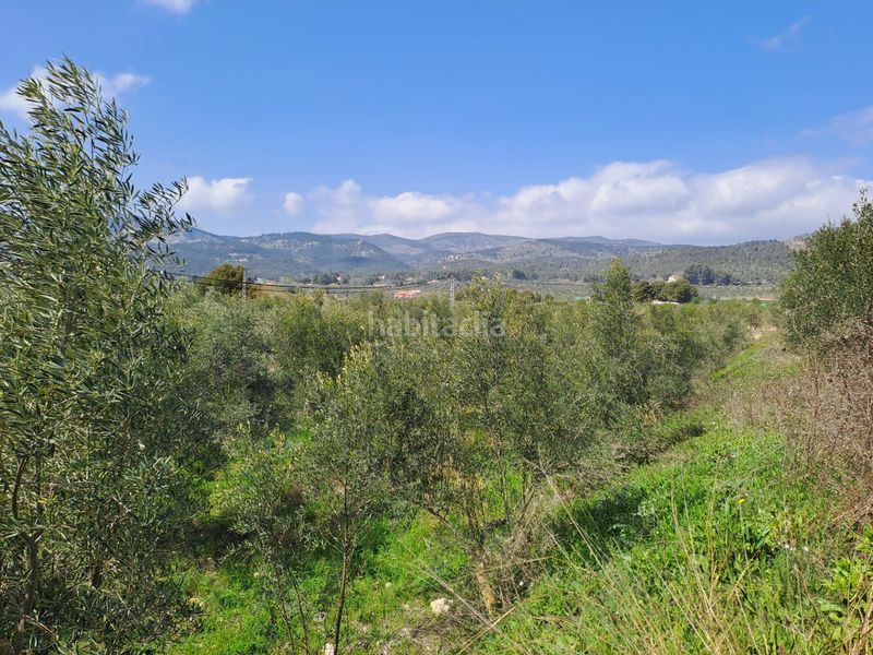 Foto 7633d83c-ee73-4ae2-ad96-1c0ee0a5d5fb. Finca rústica a cv-802 3 a Onil