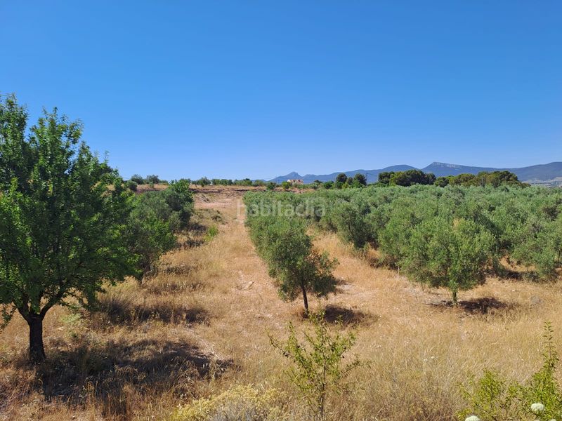 Foto 79b8f9f0-1d4b-4a50-a500-38fc90cee787. Finca rústica a cv-802 3 a Onil