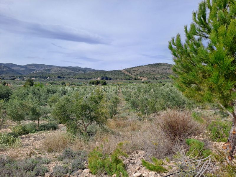 Foto 9114e69c-794c-42e3-ae43-46e39c449f0a. Finca rústica a cv-802 3 a Onil