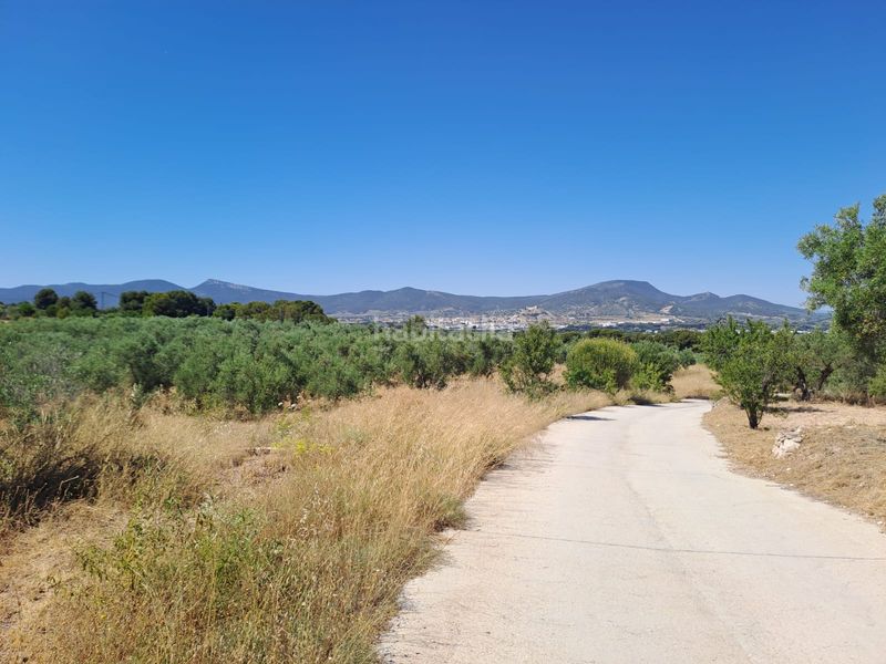 Foto a1ab7e5b-dd87-4182-86cd-ede42be15ca9. Finca rústica a cv-802 3 a Onil