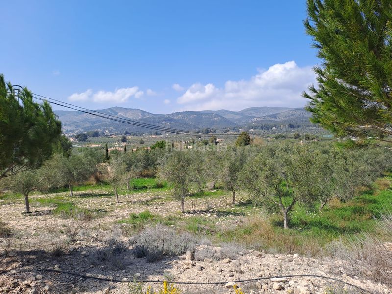 Foto ae553f45-83c3-44c1-9a17-fdaec3c9674d. Finca rústica a cv-802 3 a Onil