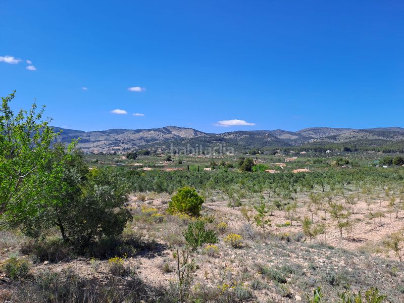 Foto c65233bb-4832-4b09-b460-a559206148d3. Finca rústica a cv-802 3 a Onil