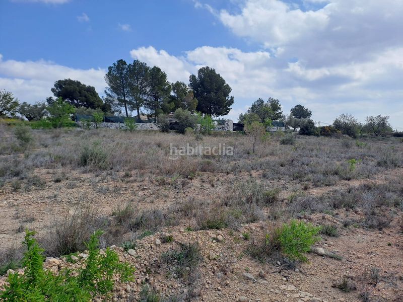 Foto cfac4f29-8c1f-48bd-ae0c-68a2378618e6. Finca rústica a cv-802 3 a Onil