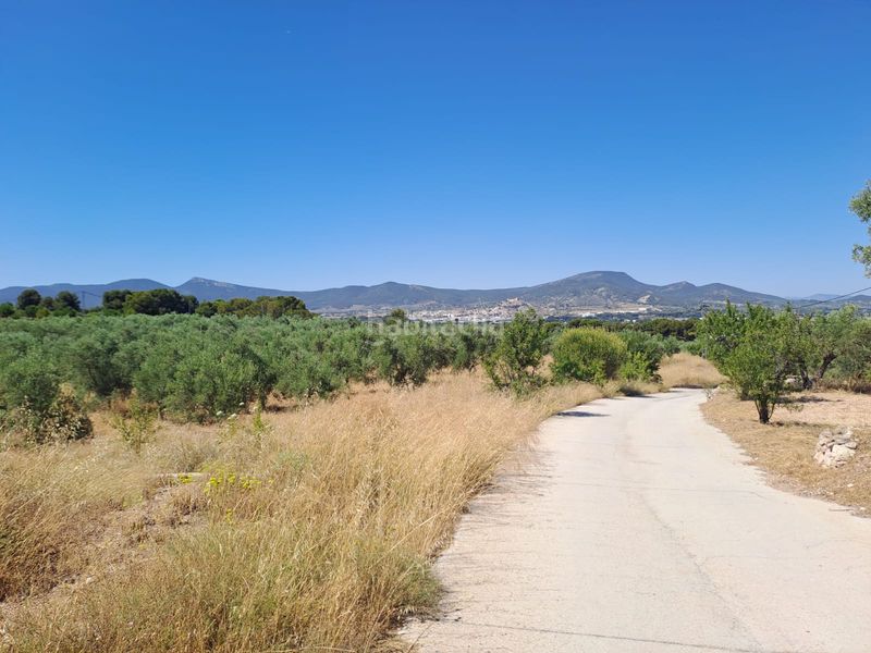 Foto d30e93a5-914e-404c-8893-6e1e4d01c3c8. Finca rústica a cv-802 3 a Onil