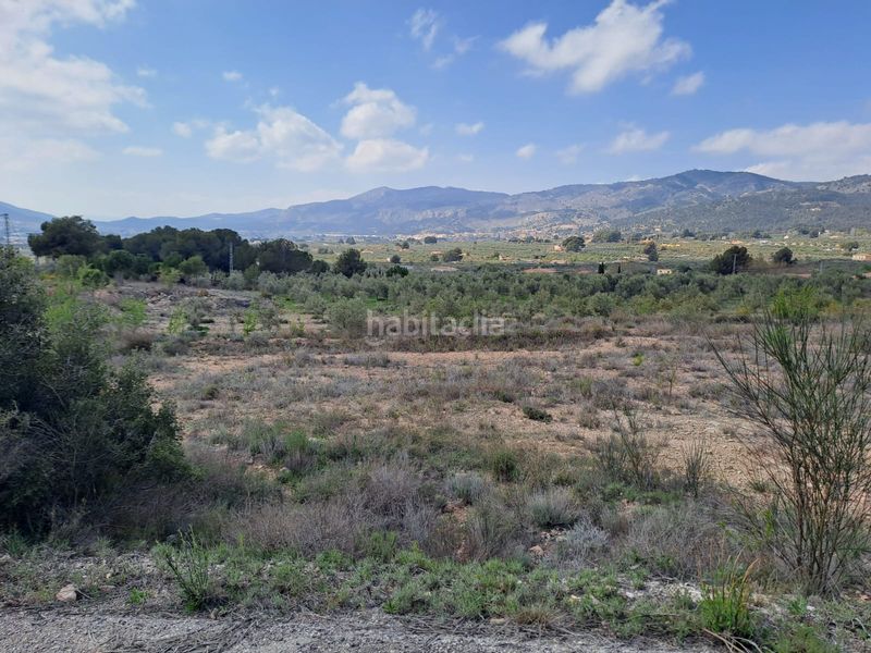 Foto e5700593-0bdc-46c9-bd0e-1aa03a1294be. Finca rústica a cv-802 3 a Onil