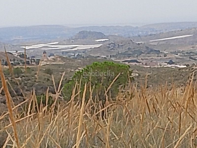 Foto 0d086b42-8310-4319-808d-9578e51c8a0d. Finca rústica a Agost