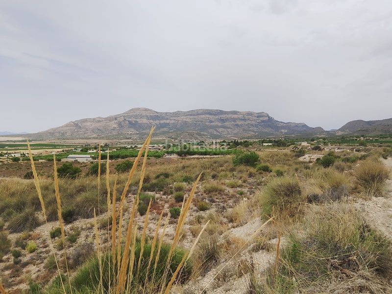 Foto 4c5826f7-c8b7-450f-b904-fe044d6ab373. Finca rústica a Agost