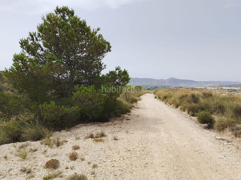 Foto 5ac236c4-a711-4857-ac89-dd4f0bf6133a. Finca rústica a Agost