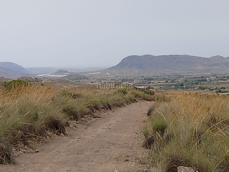 Foto 5e918b3e-4167-44d1-a166-5db6d529ff88. Finca rústica a Agost