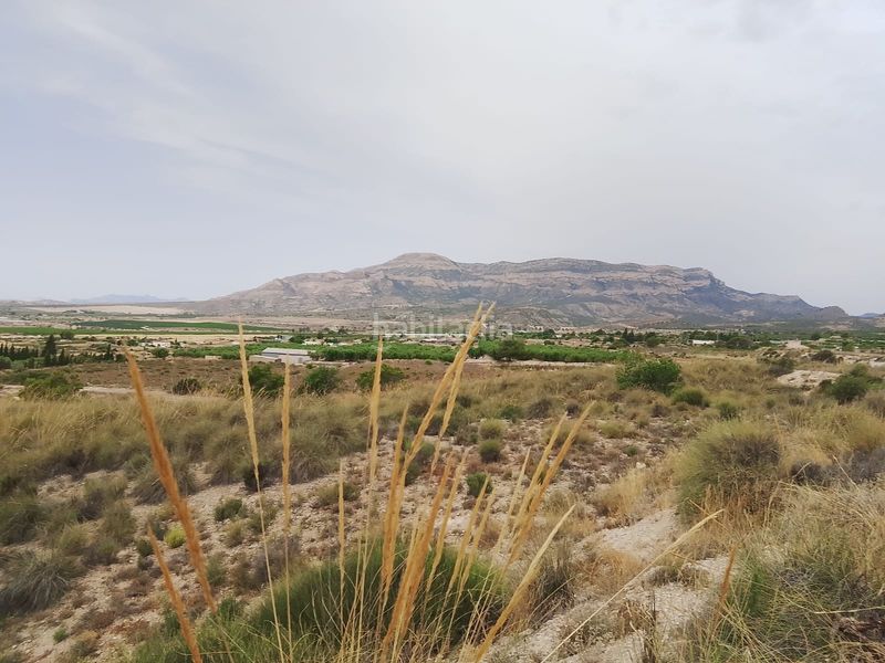 Foto 5ffb9257-fa73-4d63-9af2-349e8081ce4a. Finca rústica a Agost