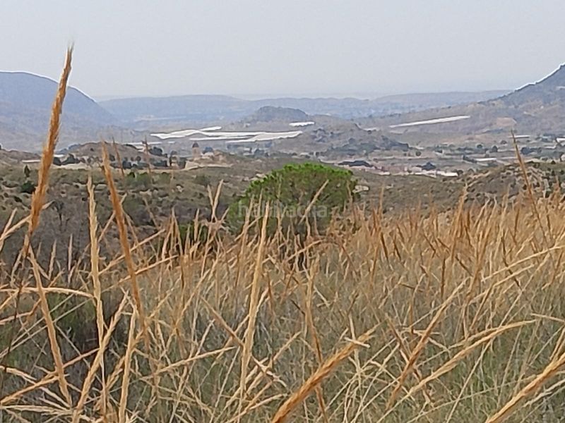 Foto 6706972e-3fa6-41ac-8c33-5ec83c657264. Finca rústica a Agost