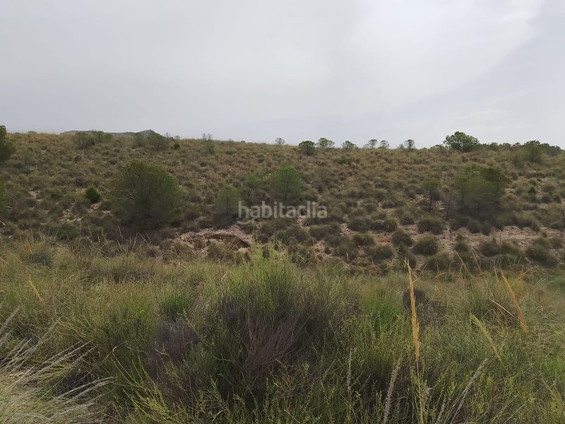 Foto 713b6e5a-aac4-48b0-a1e5-328cd8a4ffb7. Finca rústica a Agost