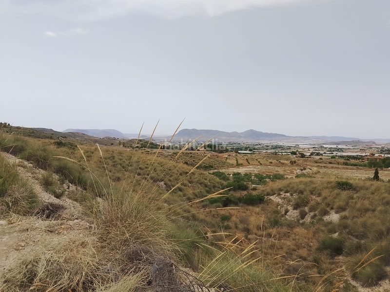 Foto 9b3d6093-7a18-4af9-85e7-e20f47d54f0a. Finca rústica a Agost