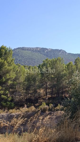Foto 0ec88f09-e081-44f9-bea8-c5e76c5a3c10. Terreny residencial a Tibi