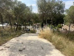 Foto 2189af82-84fb-4c96-a43d-4268278e3eed. Terreny residencial a Tibi
