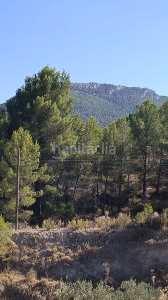 Foto a6f74c2a-a0c7-47d6-8363-f6d84bc1cf63. Terreny residencial a Tibi