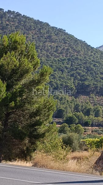 Foto d3c16191-1dce-4355-bd5f-93e69ec3ce7e. Terreny residencial a Tibi