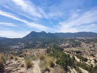 Terrain résidentiel  Partida castillo. Terreno rústico de regadío en tibi - oportunidad única con vista
