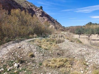 Foto 794933d1-129f-4bd2-85a7-0f3b10131f6c. Terreny residencial a Tibi