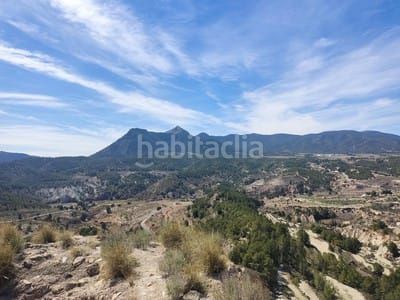Foto 81fedcf5-81d2-4800-8301-6aa2dbb5a32d. Terreny residencial a Tibi