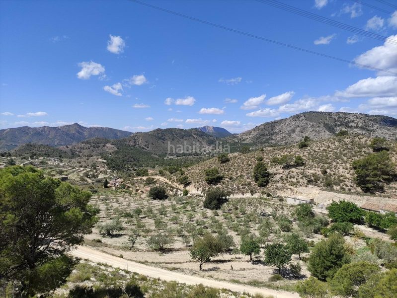 Foto adae85b6-edcd-4807-87ac-366788a3861b. Terreny residencial a Tibi