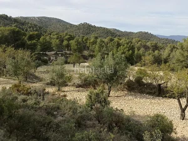 Foto d90dab3a-71d2-441a-a3ad-060da36a34a5. Terreny residencial a Tibi