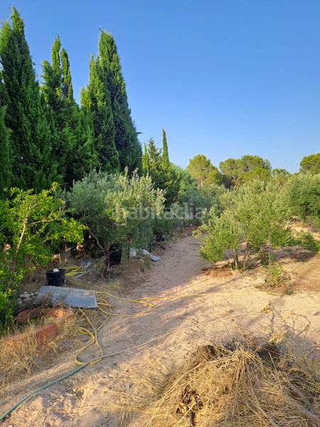 Foto 178c6c78-e9c2-4c86-b83d-94279a19e8c3. Xalet amb xemeneia aparcament piscina a Castalla