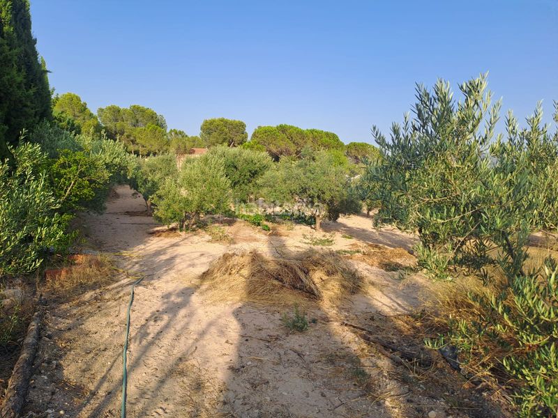 Foto ff2d37a6-5c7f-4820-a934-0f75151c7411. Xalet amb xemeneia aparcament piscina a Castalla