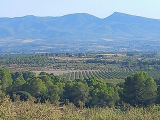 Fondo rustico  N/a. Finca rustica en la sierra del biscoi en onil