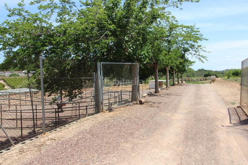 Foto 35806cc1-23a0-4783-8dab-6a0e8357b785. Casa a Almenara