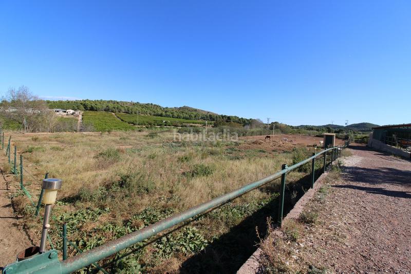 Foto 6e3fbeb2-91f4-43e7-9e74-f0bef8bf05f1. Casa a Almenara