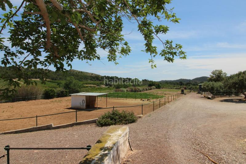 Foto 9c97d798-7467-4678-b55c-18ac4a473257. Casa a Almenara