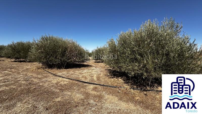 Foto bae0fbb9-f518-4039-a833-86b919781fc0. Casa  en venta en , en Orgaz