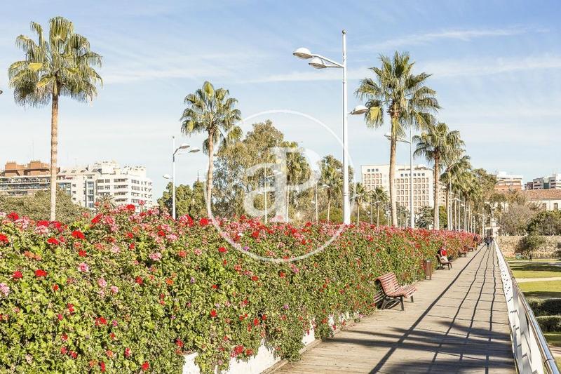 Foto 5fe2d76c-6fbc-423c-a7f1-1996e0432f9d. Terrain résidentiel dans Puçol ciudad Puçol