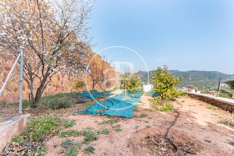 Foto 893a4a53-065c-4f47-ab6a-f78789e436e0. Terreno residencial en Alfinach - Monasterios Puçol