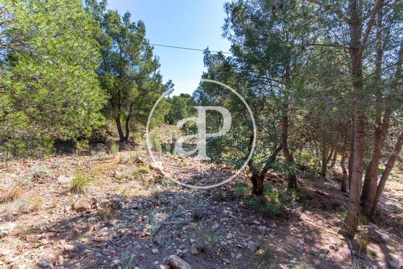 Foto 59a25fea-99ea-4a47-ac59-b143adb72fb7. Terreno residenziale in Olocau