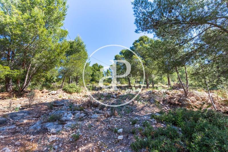 Foto 7339ad22-6235-4cf1-8a0b-4467a9887ed4. Terreno residenziale in Olocau