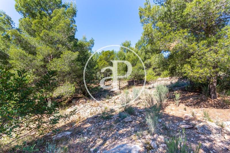 Foto 78ef7a84-8247-4257-80d2-95be01d1ff05. Terreno residenziale in Olocau