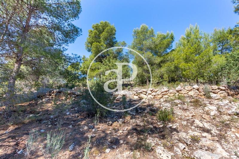 Foto ba1c4e4d-7ab7-4158-8a87-19feb3071d20. Terreno residenziale in Olocau
