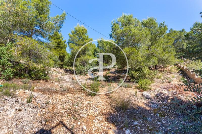 Foto bf1ac783-f04b-471d-b727-9a3f8bab6dd9. Terreno residenziale in Olocau