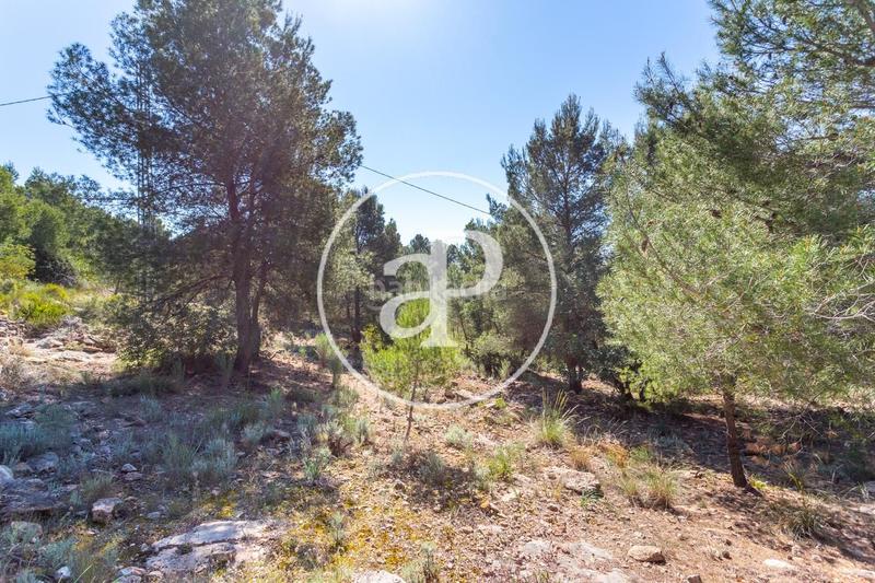 Foto f1fa4c0b-a8c0-40c0-a3fd-05e265d901a4. Terreno residenziale in Olocau